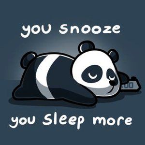 Tee Turtle  Panda "You Snooze You Sleep More" T-shirt Sz.  XXL